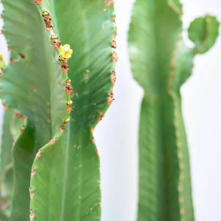 Apartmán Precioso Duplex Con Patio Junto A La Catedral