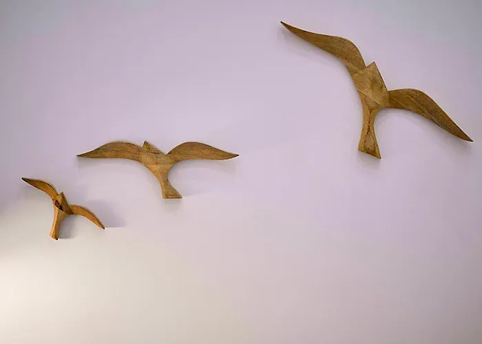 Precioso Duplex Con Patio Junto A La Catedral Cádiz