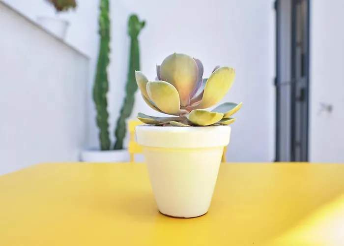 Precioso Duplex Con Patio Junto A La Catedral Lejlighed Cádiz